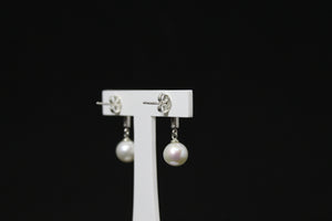 BO IVA – Boucles d’oreilles en perles blanches rondes & zirconium sur argent 925
